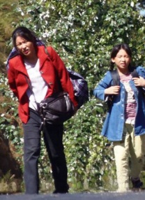 成人欧美在线